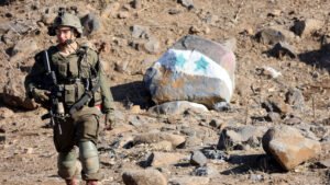 ইসরায়েলি সেনাদের হাতে আটক ও নির্যাতনের শিকার ফরাসি সাংবাদিক