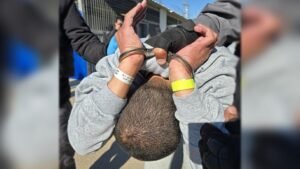 ফিলিস্তিনি বন্দিদের মুক্তি প্রক্রিয়ায় ইসরায়েলের আচরণে রেড ক্রসের ক্ষোভ