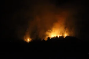 তুরস্কে দাবানলে পুড়ে ছাই ৫ হাজার হেক্টর বন