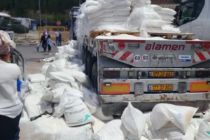 গাজায় ৮৭ ট্রাক ত্রাণ ঢুকলেও বেশিরভাগই লুট