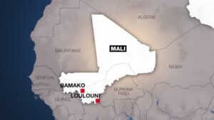 জেনিমের নিয়ন্ত্রণে মালির গুরুত্বপূর্ণ শহর লুলোনি